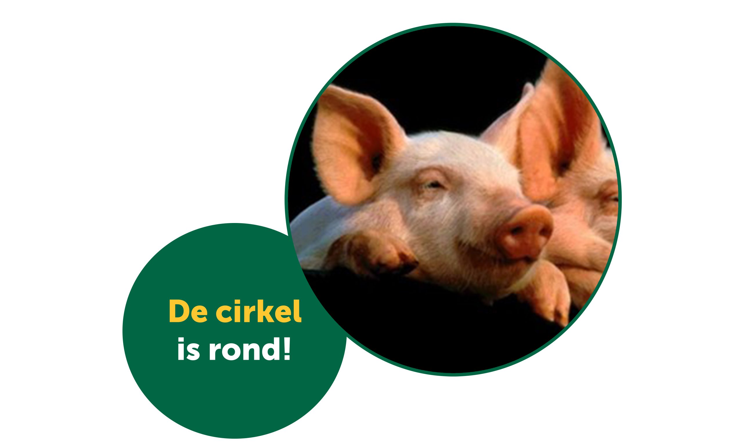 De Cirkel Is Rond CAV Den Ham